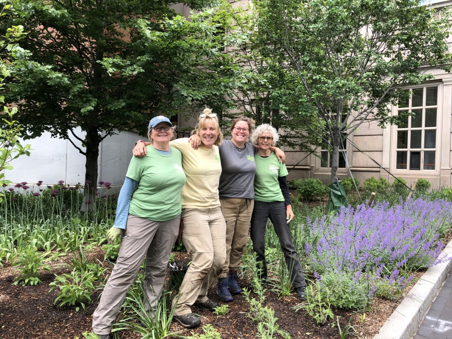 Chinatown zone volunteer Karen Bergstrand and Steph Almasi, Seasonal Horticulturist and Volunteer Programs Assistant, are joined in their zone by Nicole Semeraro, Seasonal Horticulturist and volunteer Bonnie Thrysellius.
