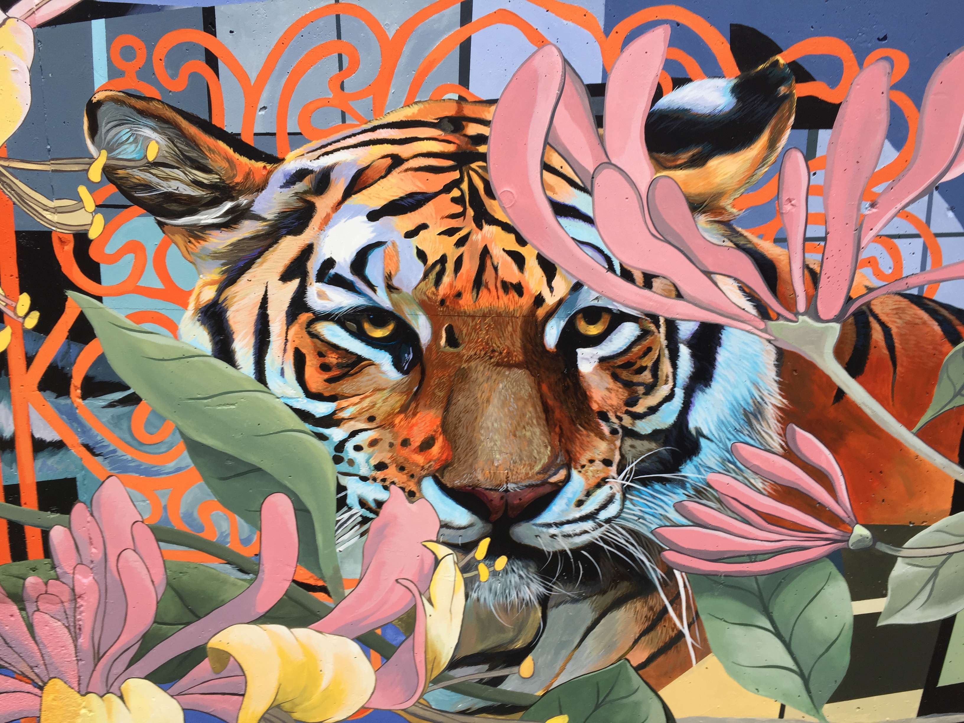 A photorealistic painting of a tiger is surrounded by faded pink and yellow flowers. In the background, an organic orange line pattern surrounds the head of the tiger.