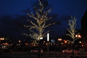 Trees lit, site for future carousel park.