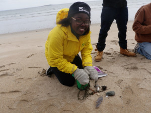 Ursile, comparing and contrasting abiotic and biotic features of the coastal ecosystem. 