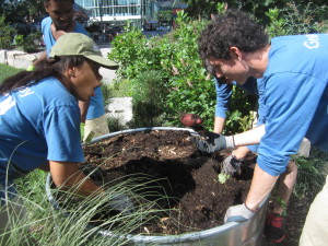 The potatoes were too big to get pulled up with the roots and instead were found in the soil. 