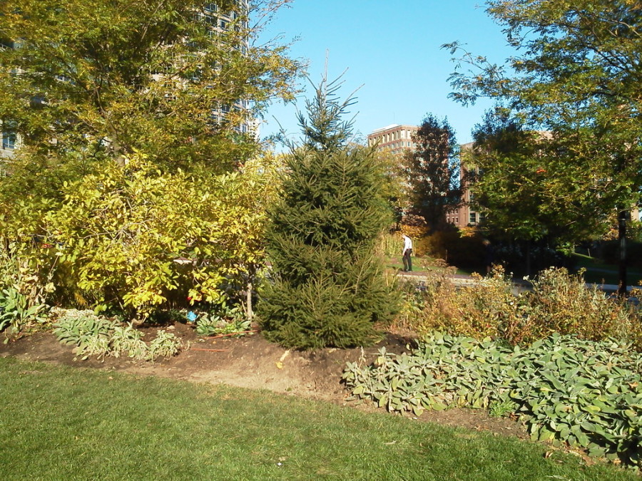 IMG_20131105_133510