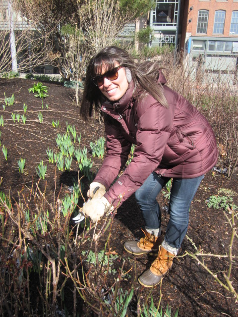 One of our corporate volunteers learning how to prune.