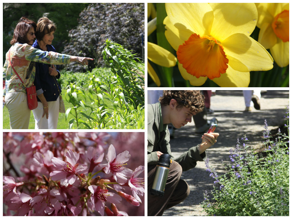 people and plants