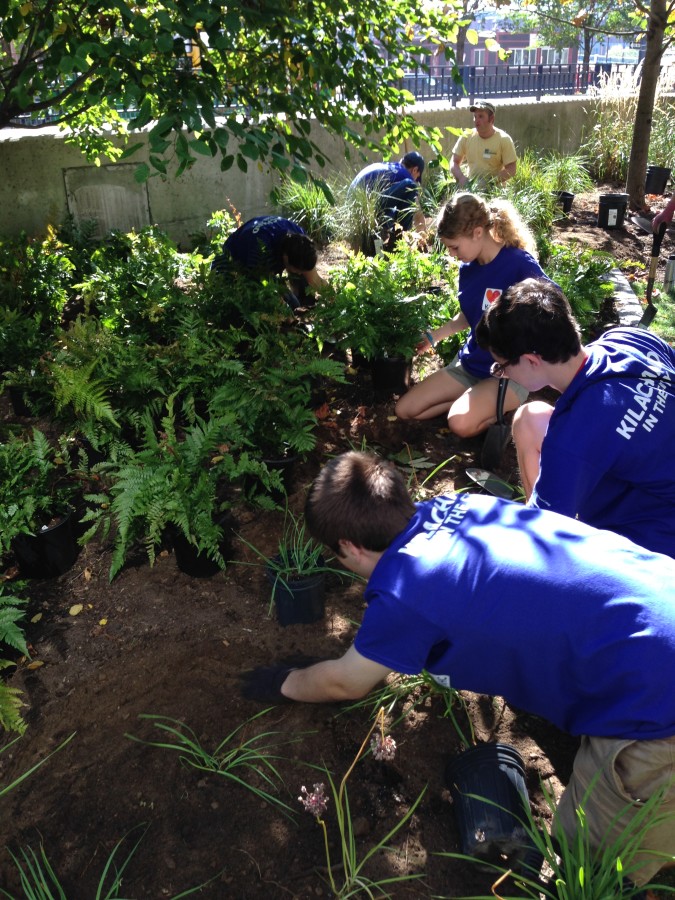 A volunteer group from Boston University's Kilachand Honors College plants the first round of perennials.