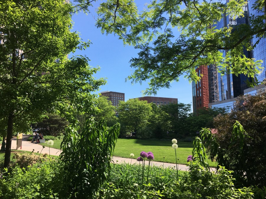 I took this photo on my phone last week on the way into the office – beautiful morning on the Greenway in Boston.