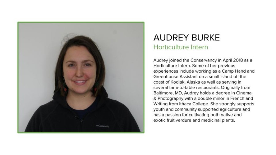 Intern Photos Audrey