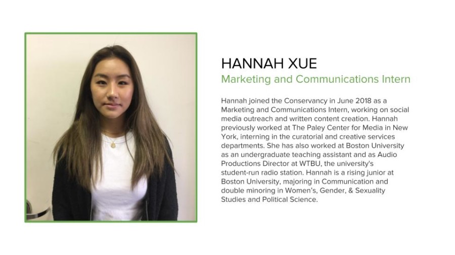 Intern Photos Hannah