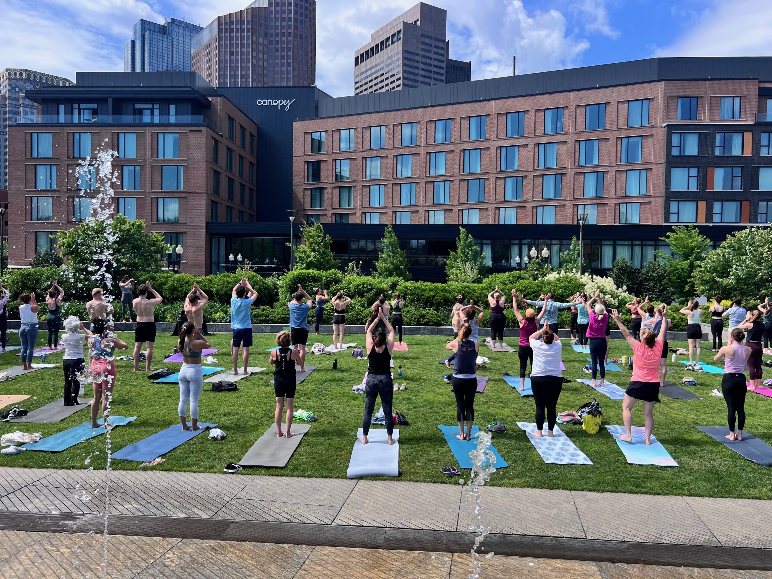 Soma Summer Solstice Celebration