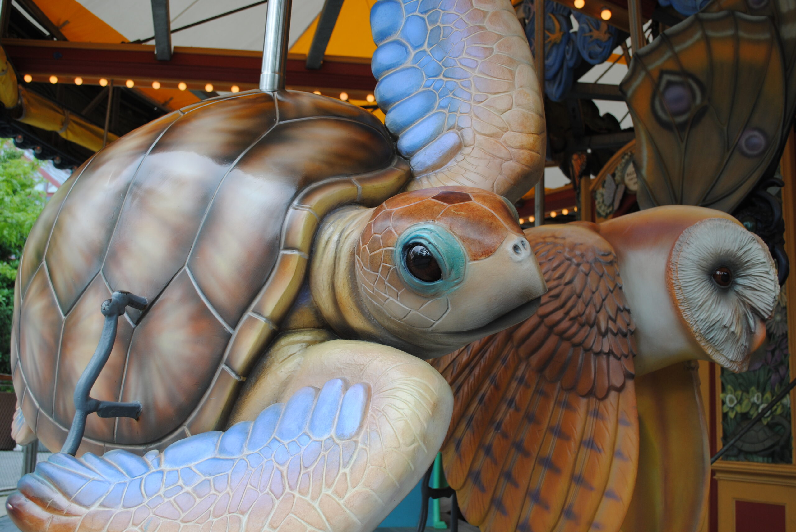 Notice: Photoshoot at Greenway Carousel