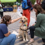 Off the Clock - Therapy Dogs on The Greenway