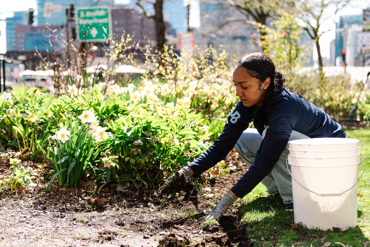 Volunteer kneeling down next to a garden, pulling weeds. A white bucket sits next to her, and white flowers are seen in the garden bed behind her.