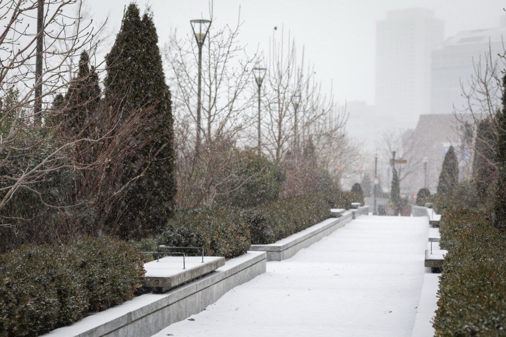A wintery scene shows a garden of evergreens and shrubs covered in a layer of snow.