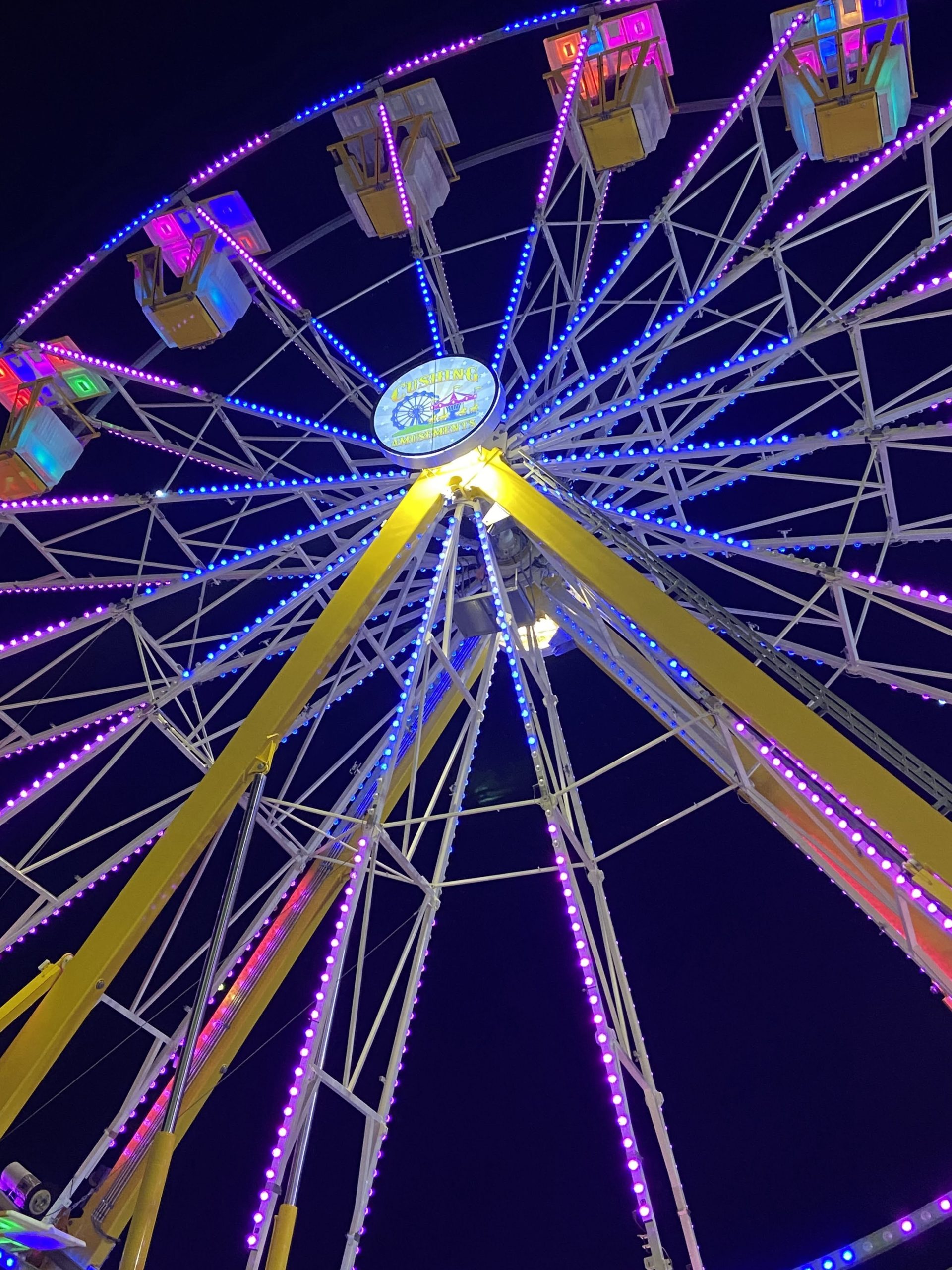 The Frostival Ferris Wheel