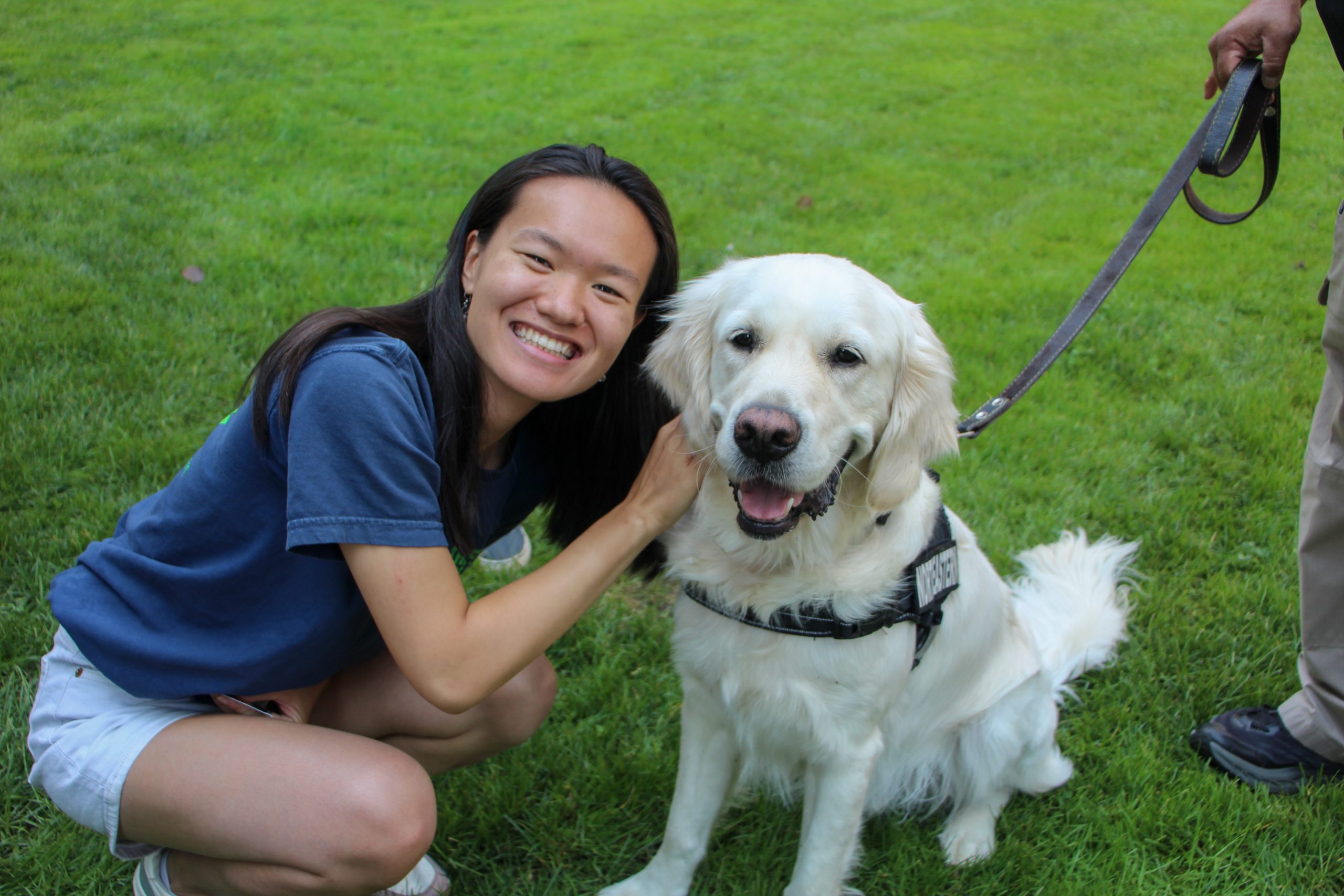 Off the Clock: Therapy Dogs on Dewey Square