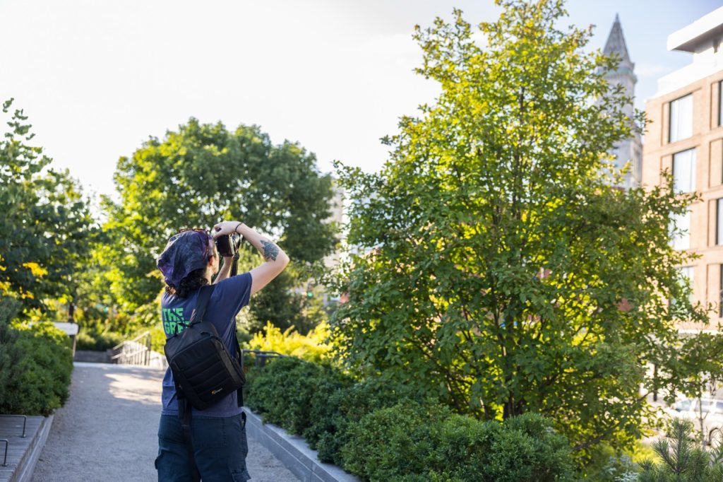 A person wearing a blue shirt with a green logo is holding a camera and taking a photo of a tree in a city park setting.