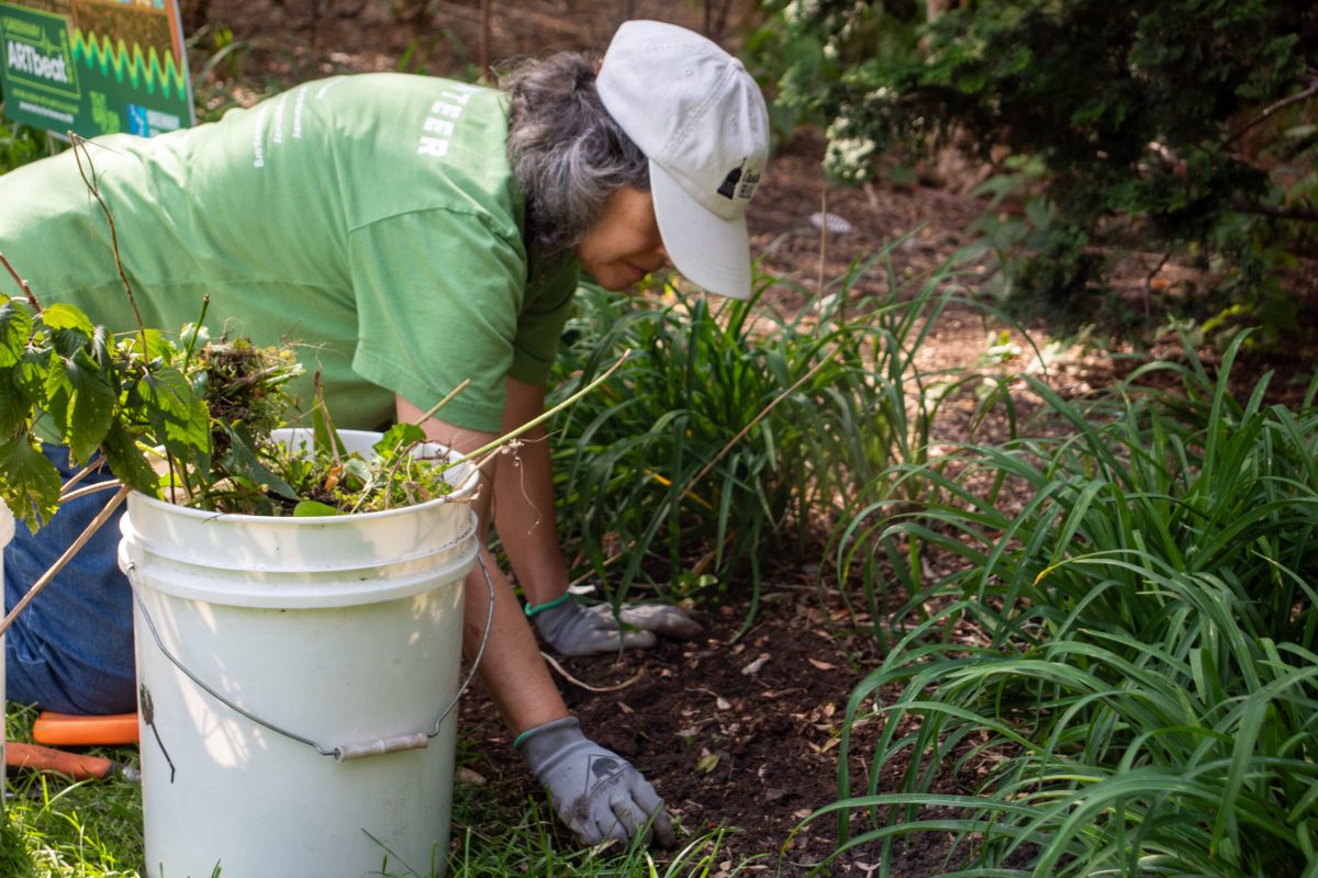 09182024_IndividualVols-04