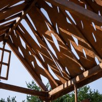 240912-GoingToGround-0118