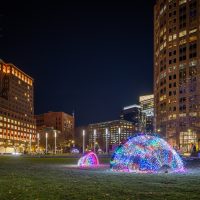 241125-Hatchlings-0290