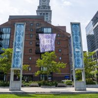 53847664605_ef349d5715_o