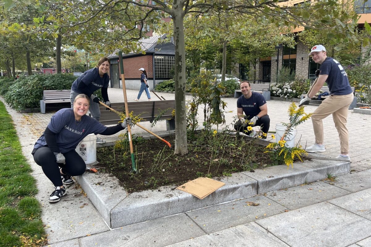 Volunteer,  Adult,  Garden,  Gardening,  Glove,  Hat,  Nature,  Outdoors,  Person,  Planting,  Potted Plant