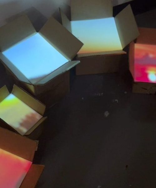 "Light Boxes" (2024)