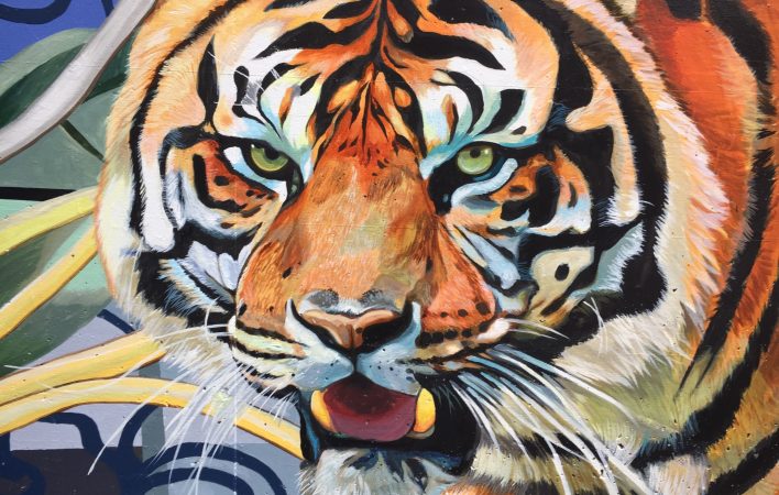 a photorealistic painting of a tiger's face fills the frame. Behind the tiger, graphic yellow and blue lines swirl on a green, blue and gray background