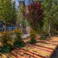 PlantableBostonEcosistemaUrbanobyEmilioP.Doituahorizontaltable