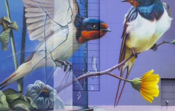 RKG_2019_ART_Thelan_04_Anthony Crisafulli