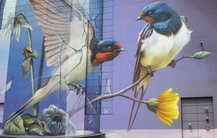 RKG_2019_ART_Thelan_05