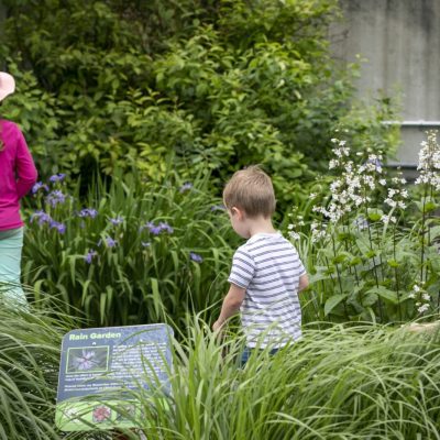 Demonstration garden