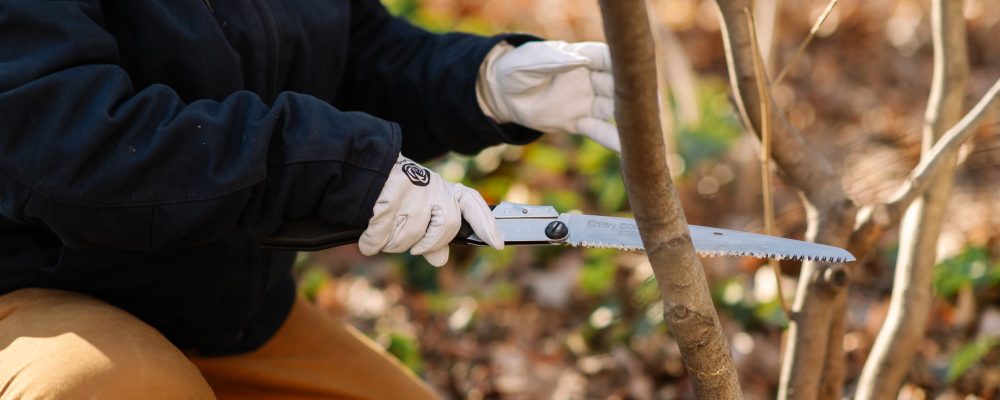 Photo of a person squatting to cut a branch with a pruning saw