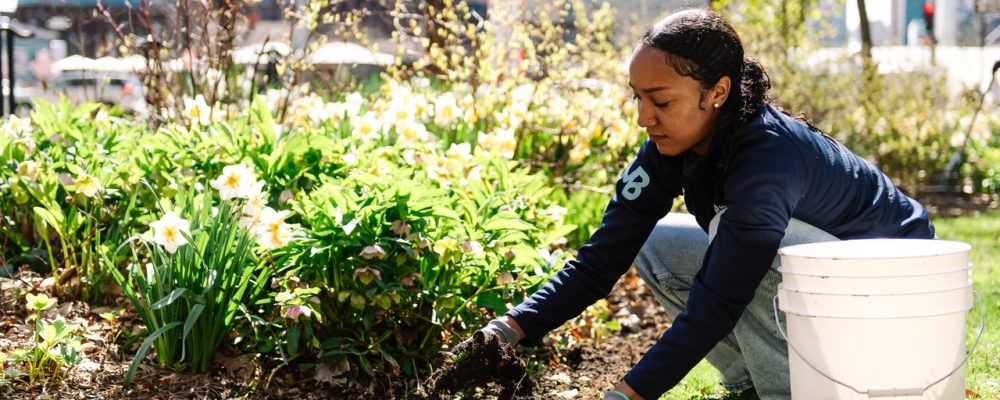 Volunteer kneeling down next to a garden, pulling weeds. A white bucket sits next to her, and white flowers are seen in the garden bed behind her.