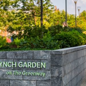 carolyn_lynch-garden