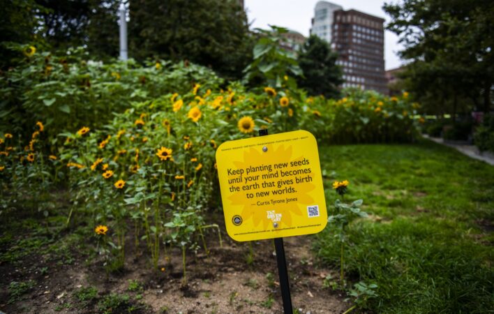 Photo credit: Lee-Daniel Tran