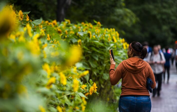 Photo credit: Lee-Daniel Tran